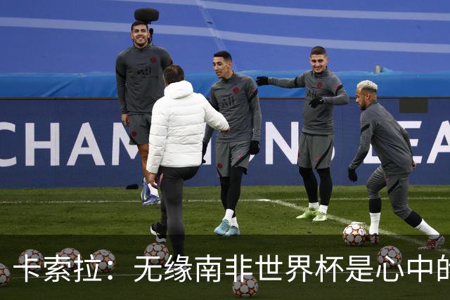 卡索拉:无缘南非世界杯是心中的刺